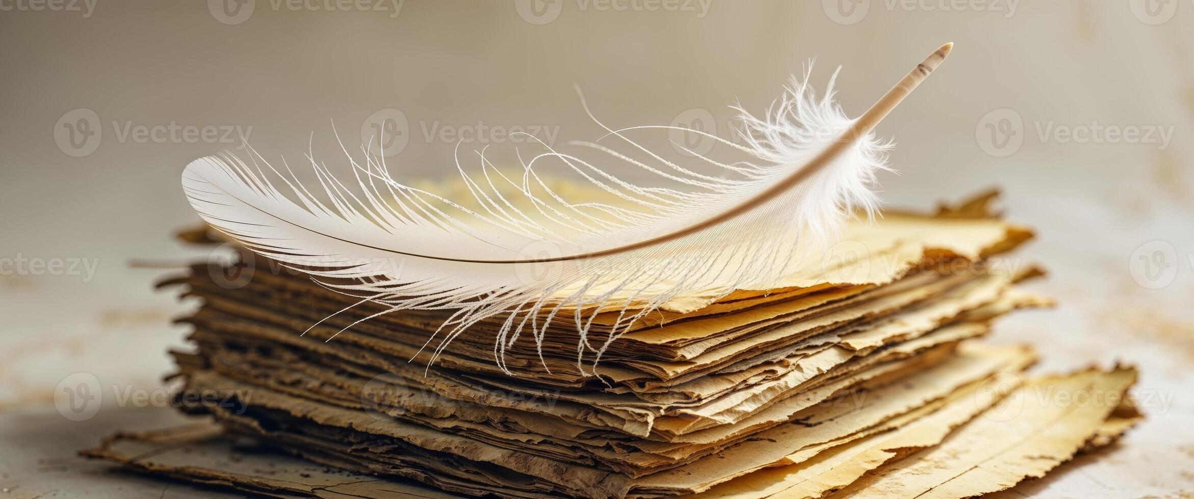 A Feather Resting Atop a Stack of Aged Paper photo