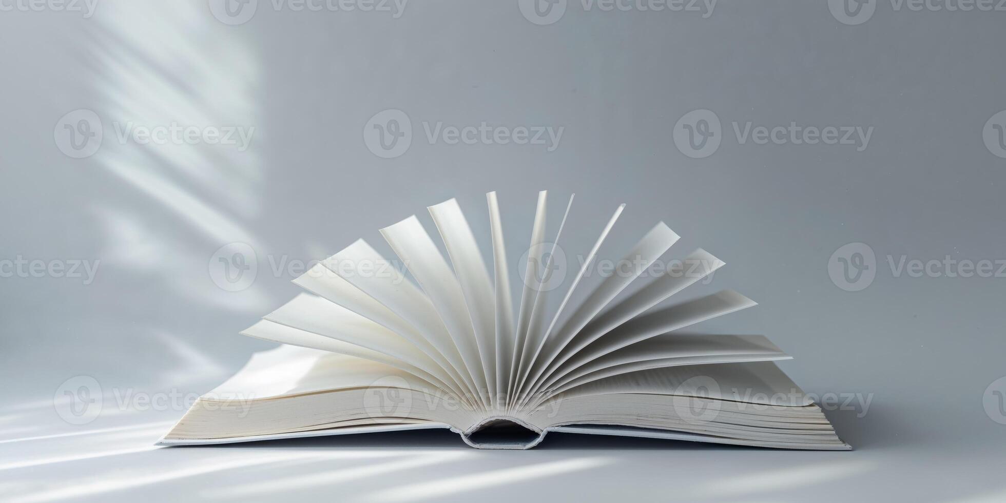 An open book with a fan on top photo
