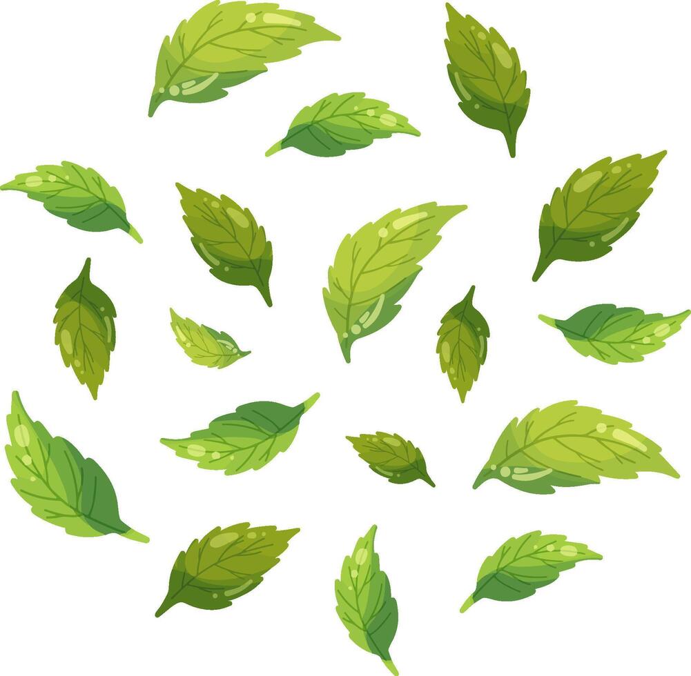 Flat style green leaves element, beauty leaf cartoon illustration, ecology nature elements in bright colors, tea or mint flying petals, Vegan fresh plant, energy and healthy nutrition concept vector