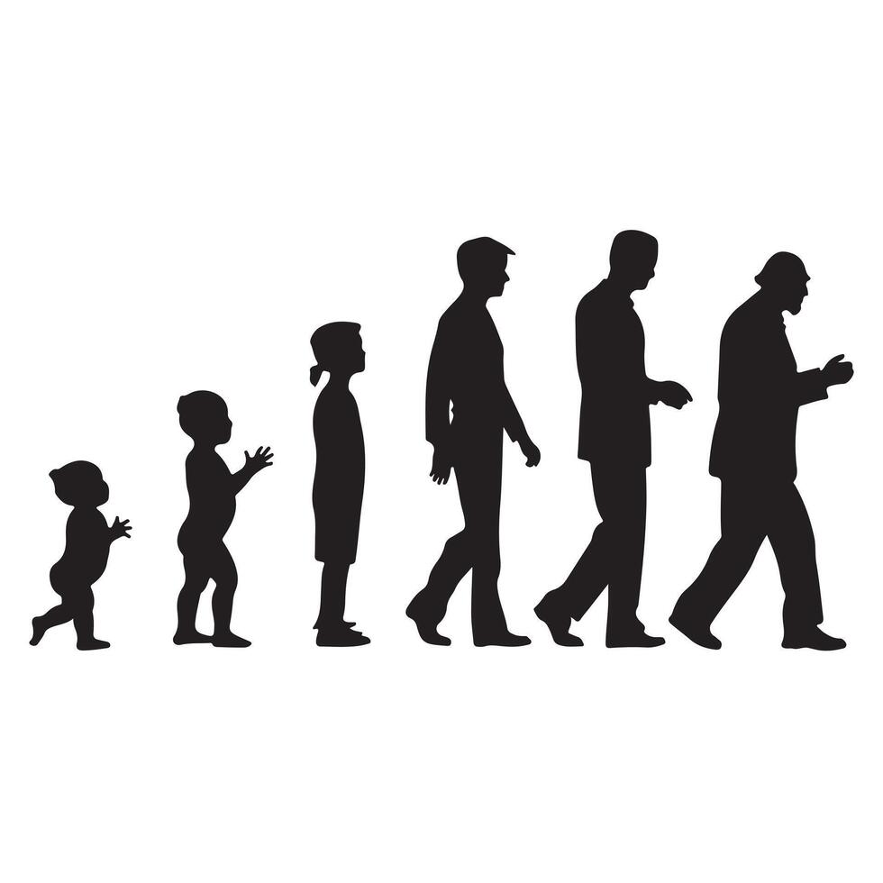 Silhouettes of Humans in Different Ages on White Background Art vector
