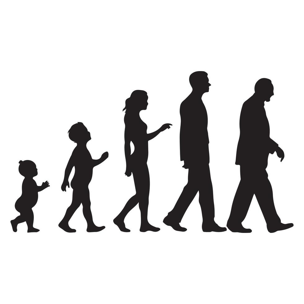Silhouette of Humans in Various Ages on White Background Illustration vector