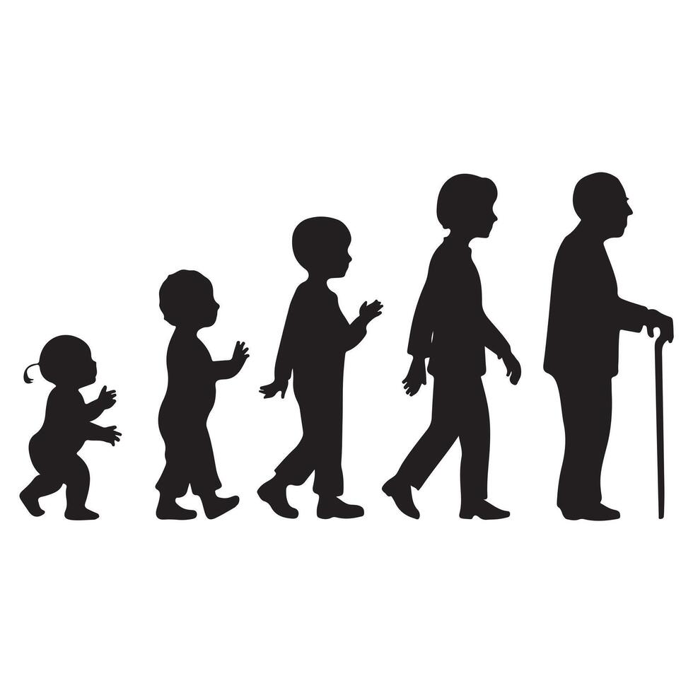 Human Silhouettes in Various Ages from Child to Elder on White Background vector