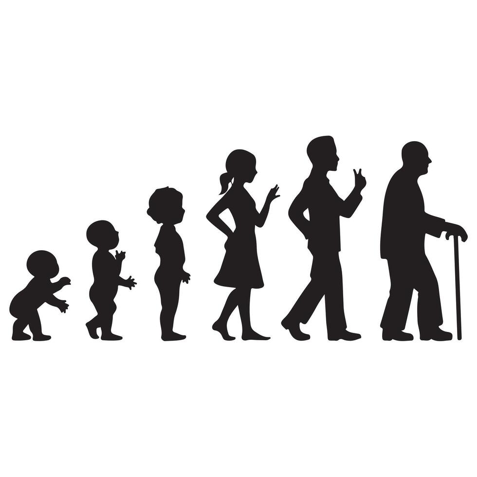 Black Silhouettes Representing Different Age Groups on White Background vector