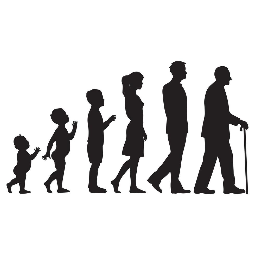 Black Silhouette Figures of Humans in Different Stages of Life on White Background vector