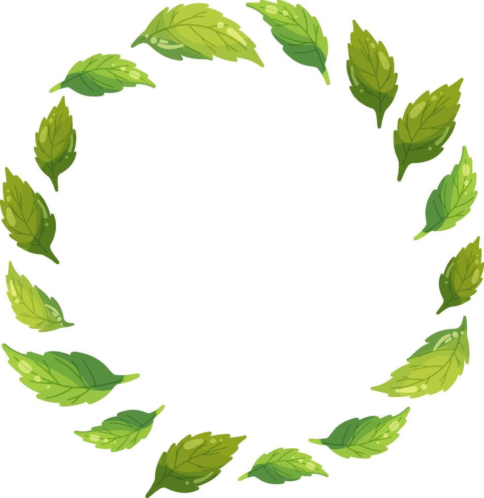 Flat style green leaves wreath, beauty leaf cartoon illustration, ecology nature elements in bright colors, tea or mint petals in circle shape, Vegan fresh plant, eco and healthy nutrition concept vector
