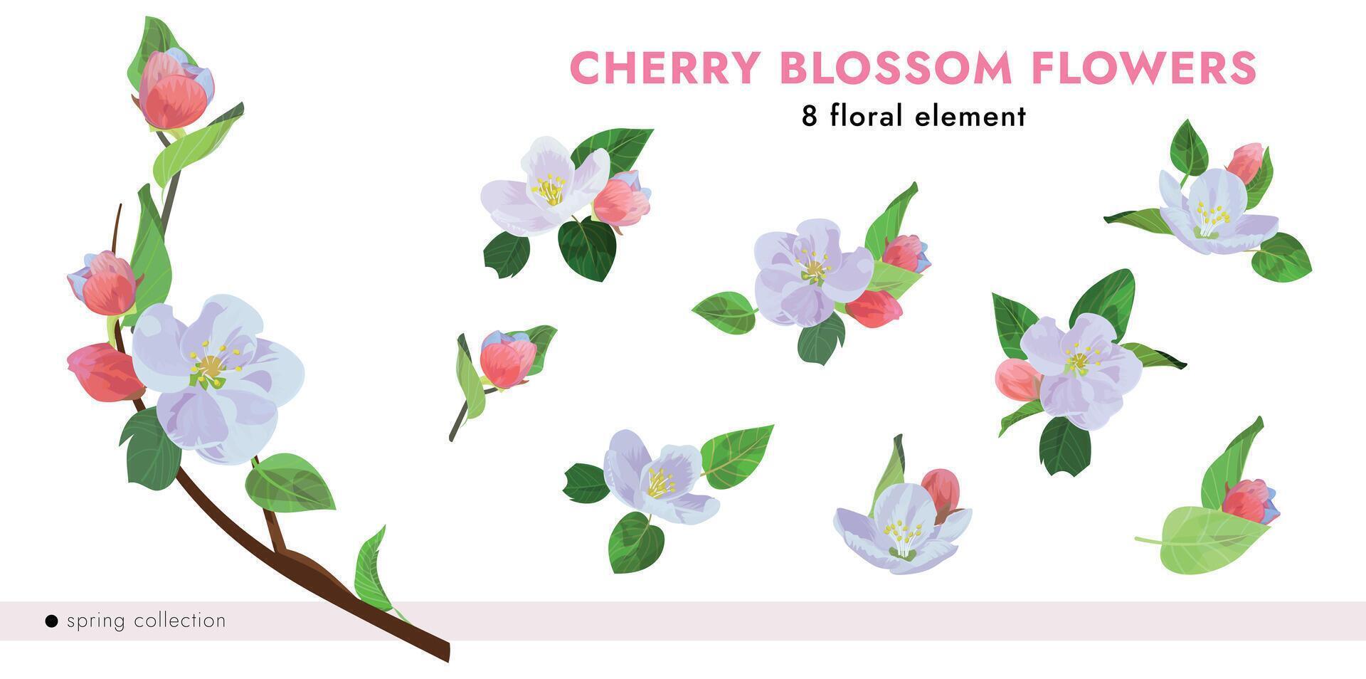 Cherry blossom set with 8 white floral elements. Buds, flowers, and leaves. Perfect for spring designs, invitations, wedding decor, packaging, and romantic botanical compositions vector
