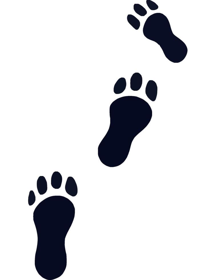 Footprint and Pawprint Track Patterns for Nature vector