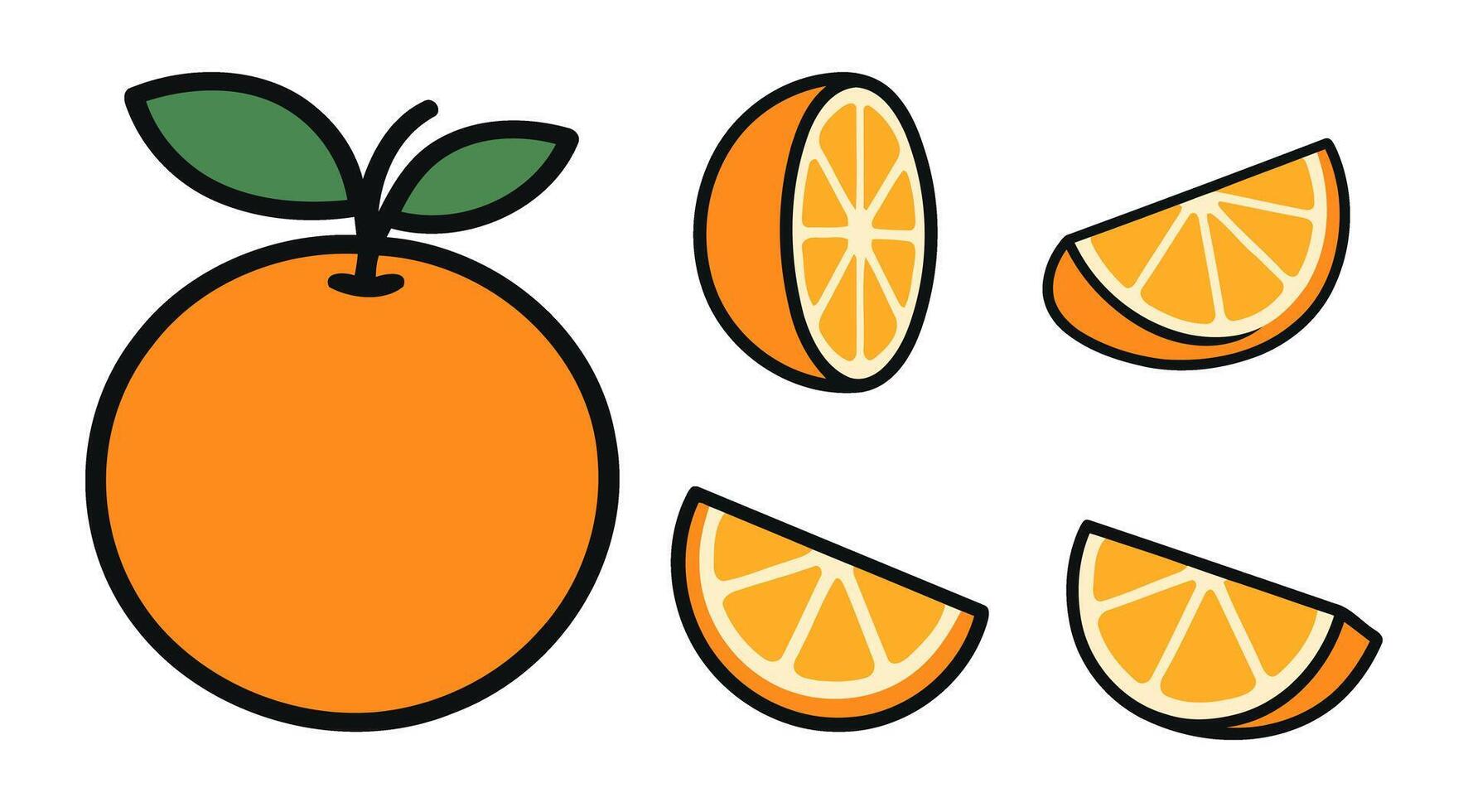 Orange with Green Leaves and Citrus Wedges Isolated on Transparent Background vector