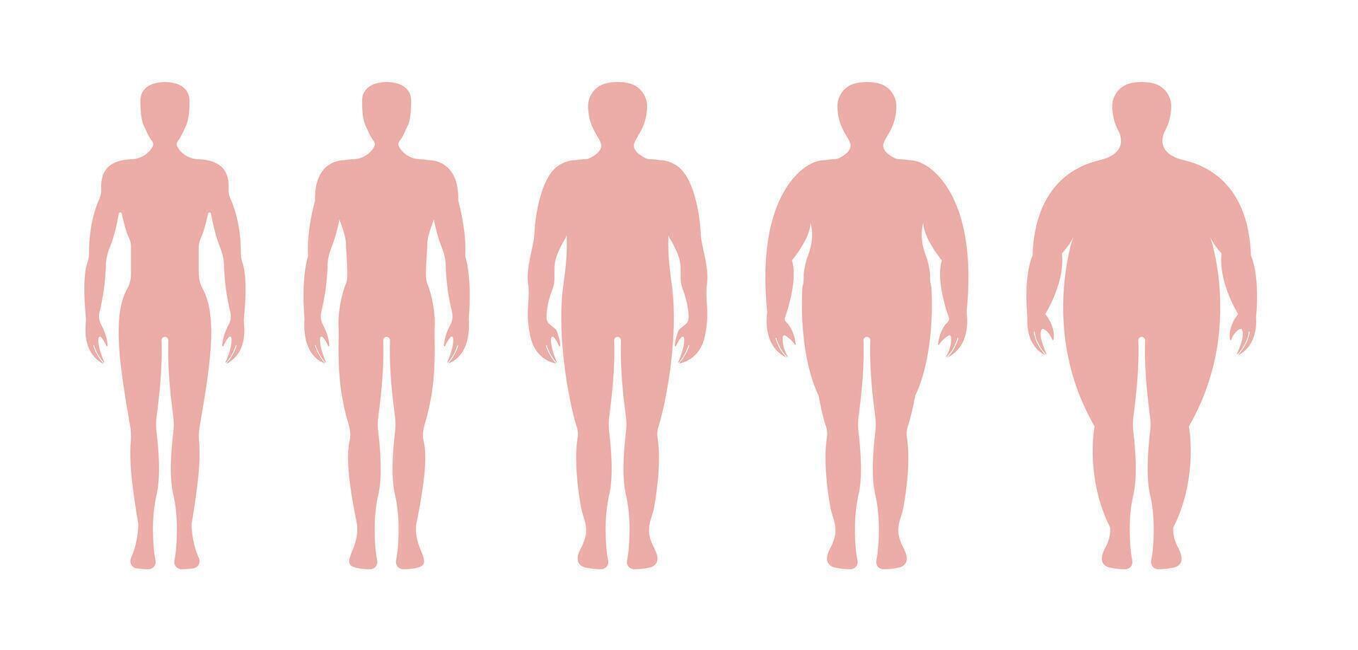 Body Mass Index Man Flat Design vector