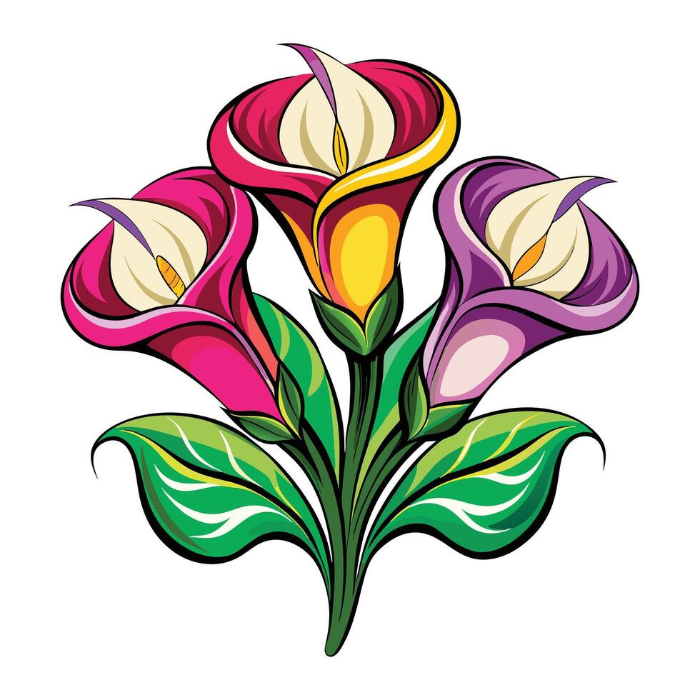 colorful calla lily flowers on a white background vector