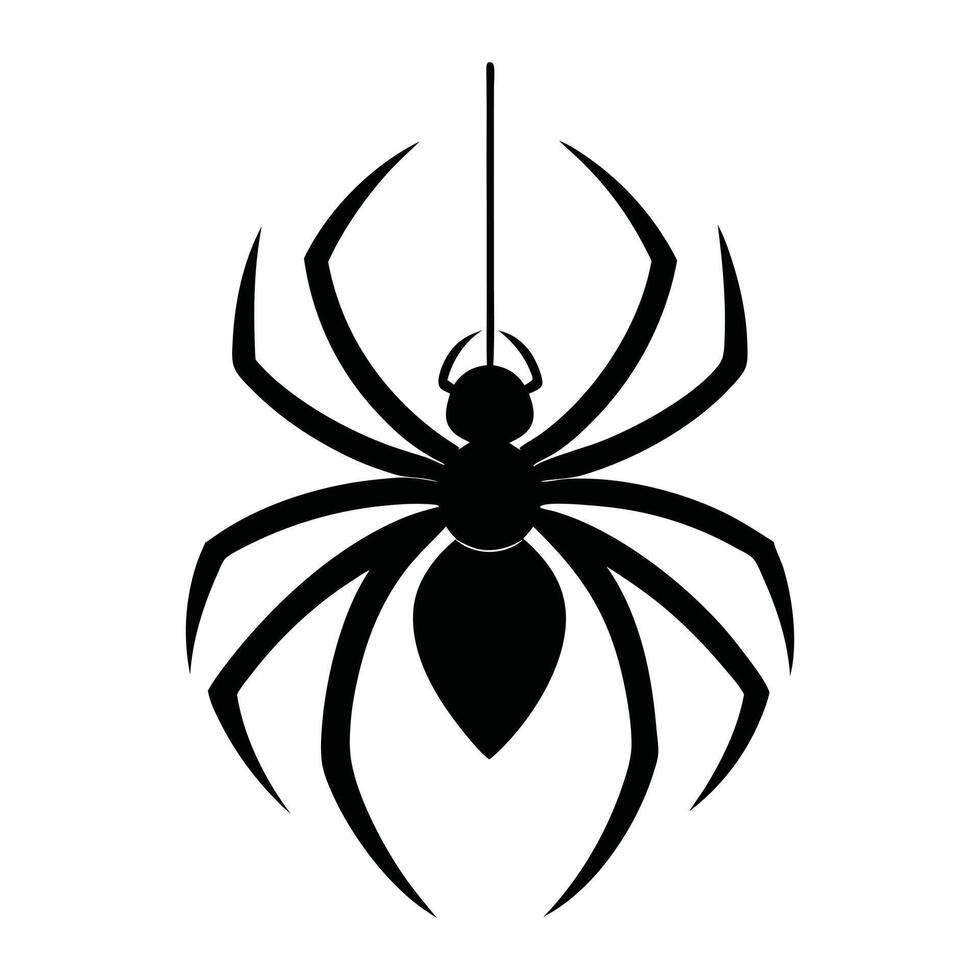 spider icon on white background vector