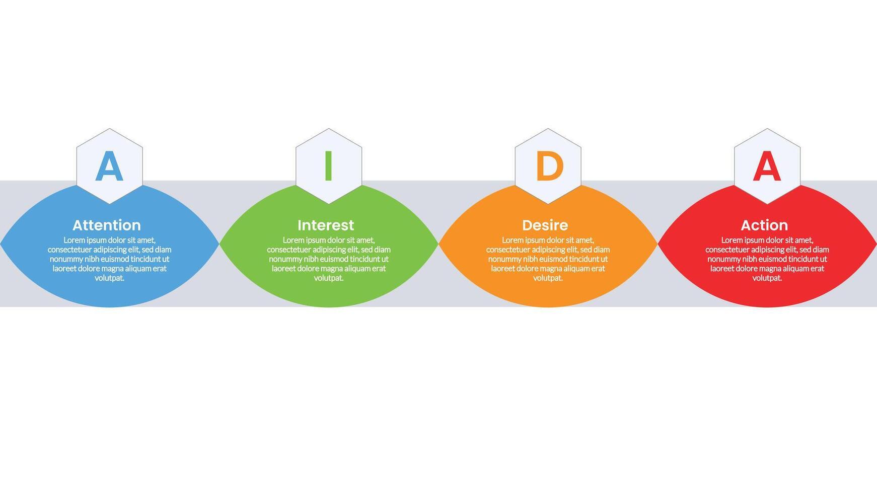 AIDA marketing funnel infographics template diagram with half circle and hexagon with 4 point step design for slide presentation vector
