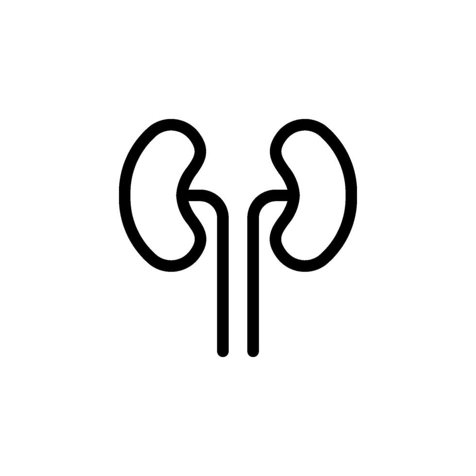kidney icon in simple design. Depicts human kidneys and ureters. Suitable for medical, healthcare, anatomical. vector