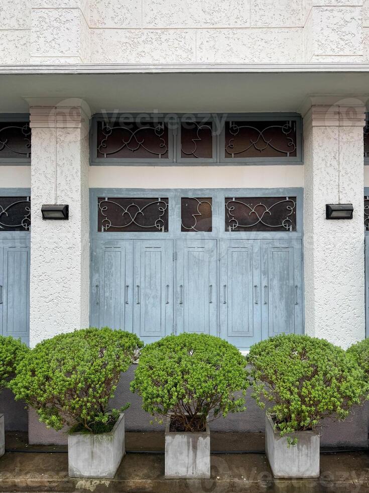 Charming facade with blue doors and neatly trimmed greenery in urban setting photo