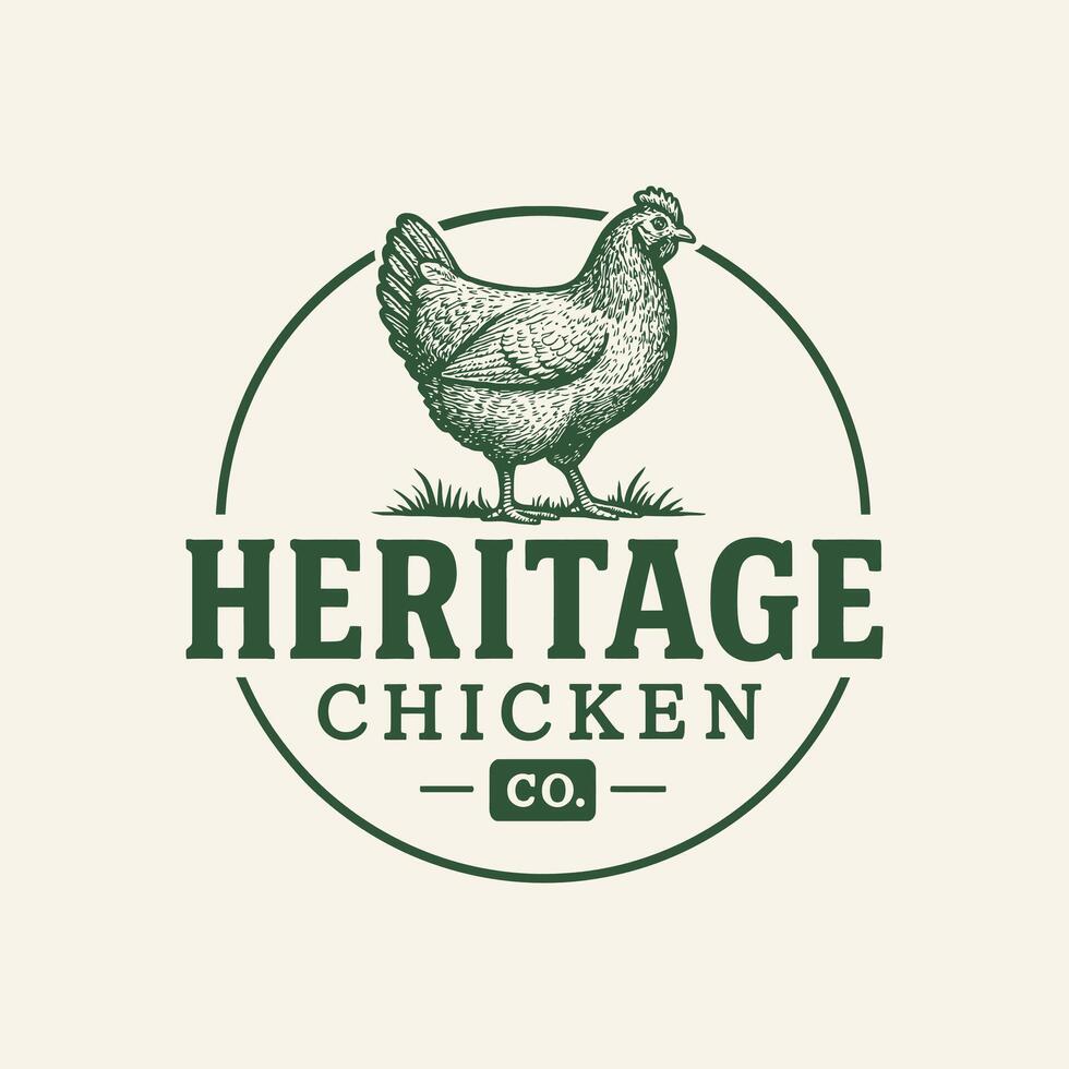 Chicken Illustration Graphic with Green Circle and Grass Design Element vector