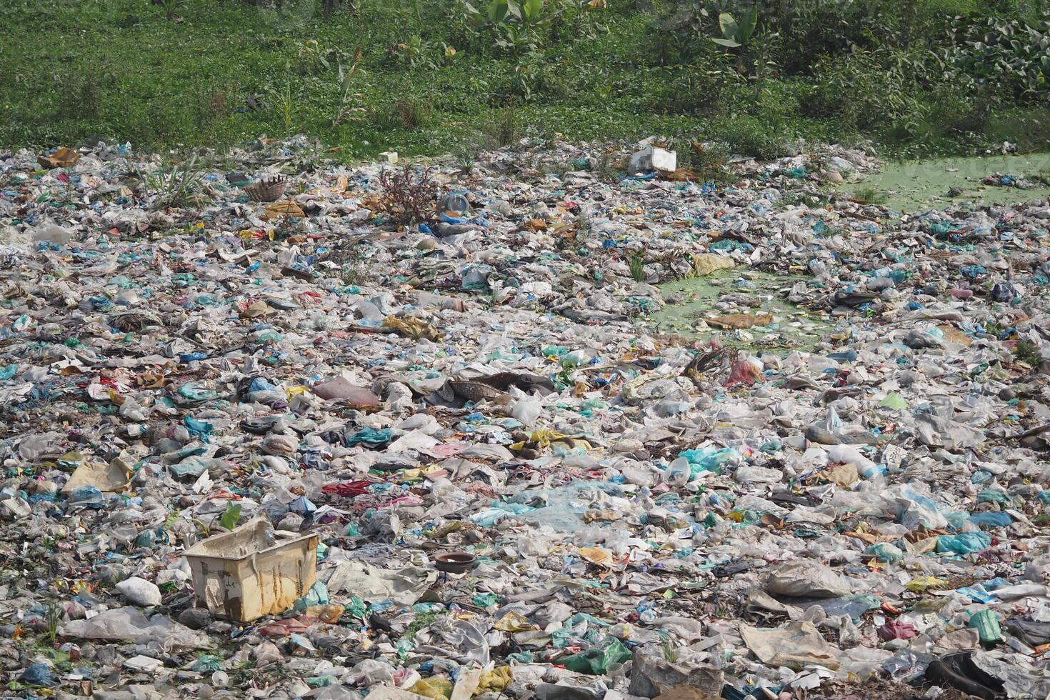 Environmental pollution caused by plastic waste in a natural area photo