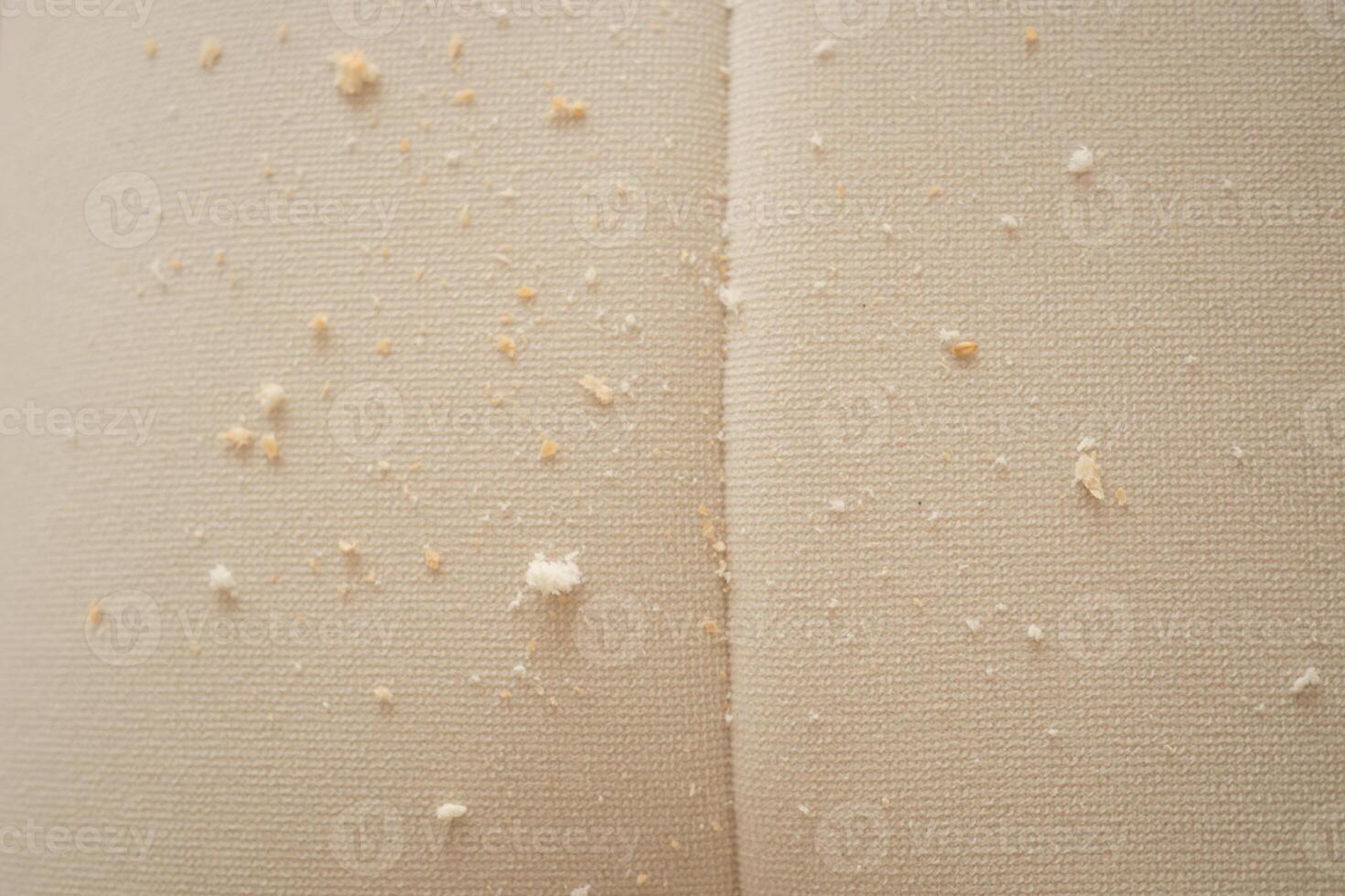 Crumbs scattered on a sofa, dirty sofa concept photo