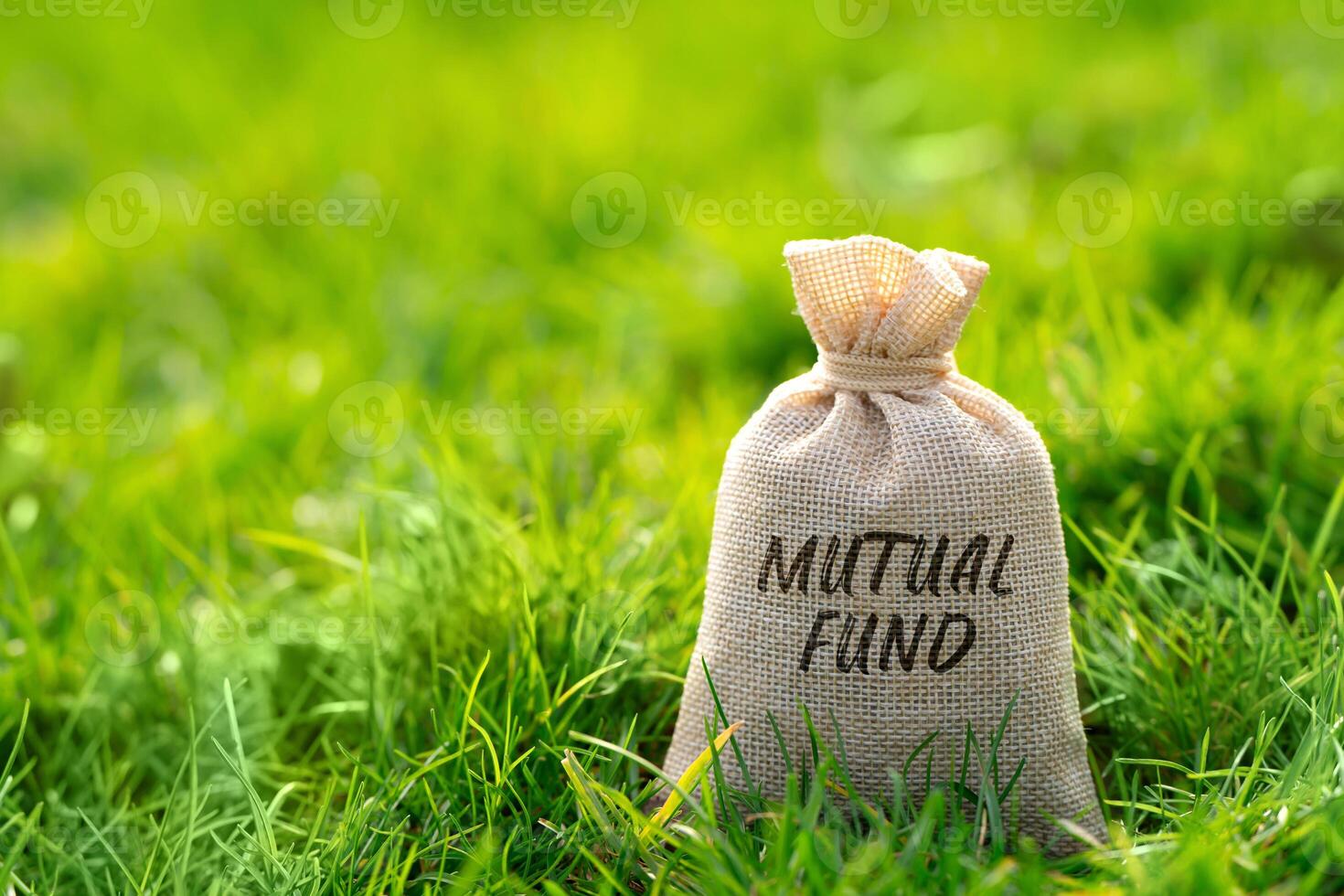 Mutual fund in a money bag. Portfolio of stocks, bonds, or other securities purchased with the pooled capital of investors. Business and finance concept photo