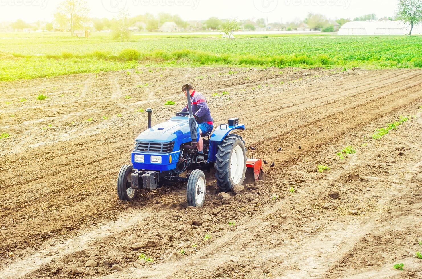 A farmer on a tractor cultivates a farm field. Soil milling, crumbling and mixing. Loosening surface, cultivating land for further planting. Agroindustry, farming photo
