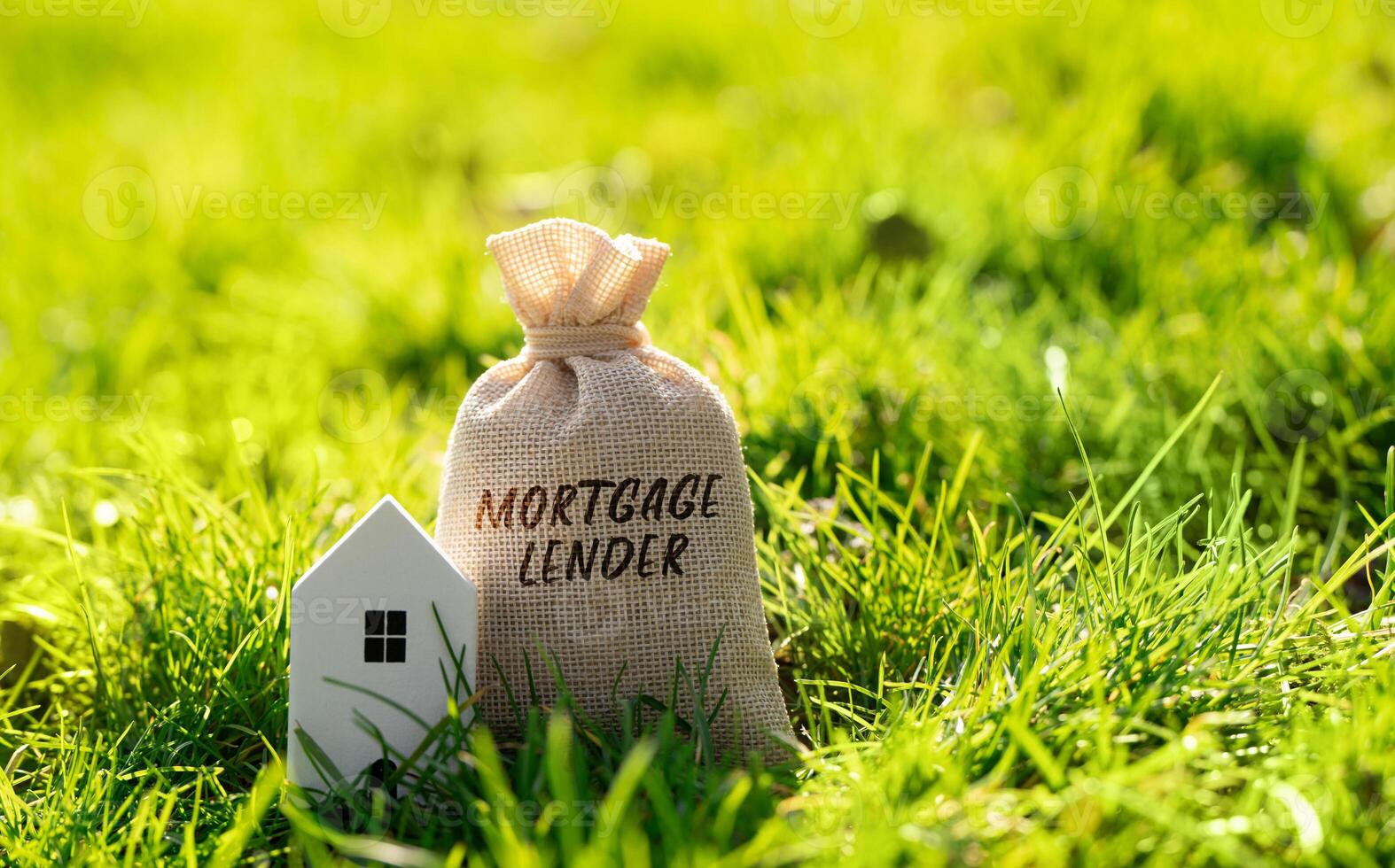 Mortgage lender money bag and house in a grass. Financial institution or mortgage bank that offers and underwrites home loans. Money and real estate finance concept. photo