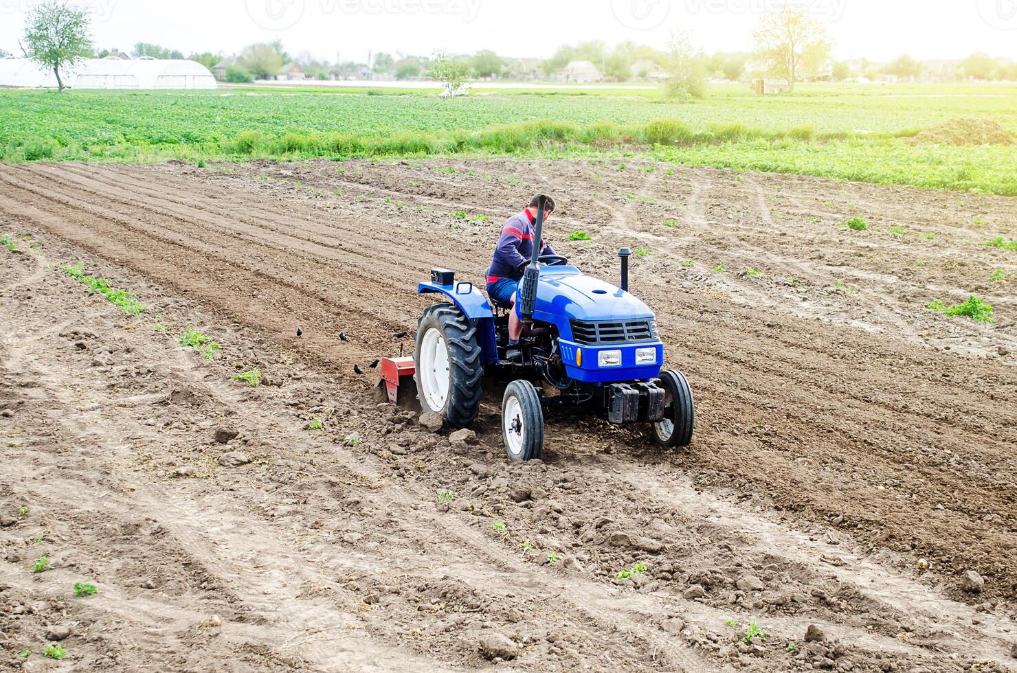 A farmer on a tractor cultivates a farm field. Soil milling, crumbling and mixing. Agroindustry, farming. Preparatory work for a new planting. Loosening surface, cultivating land for further planting photo