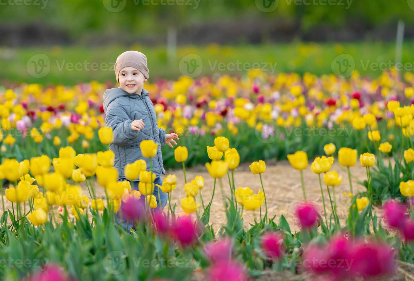 Happy three year old toddler boy runs in a tulip field in spring photo