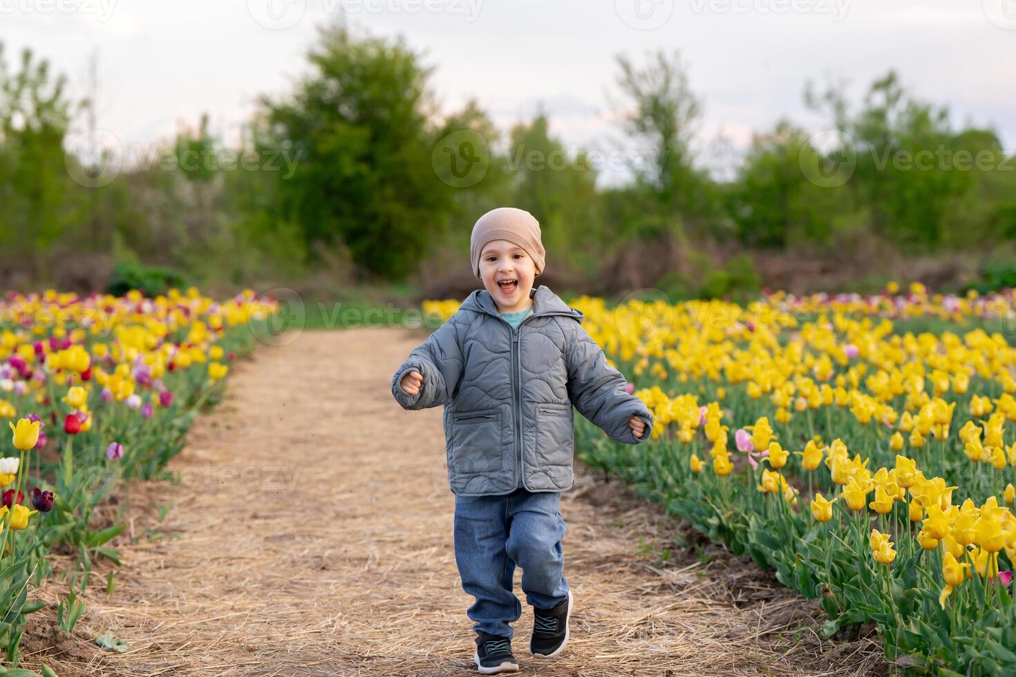 Happy three year old toddler boy runs in a tulip field photo