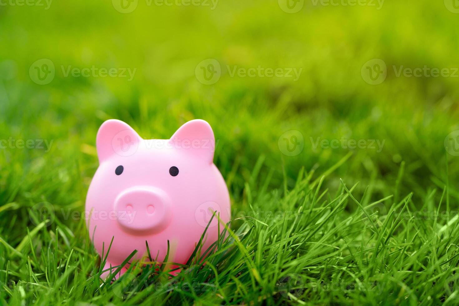 A pink piggy bank in a green grass. investments in a nature and environment. Financial savings and business concept. Income, budget. Copy space photo