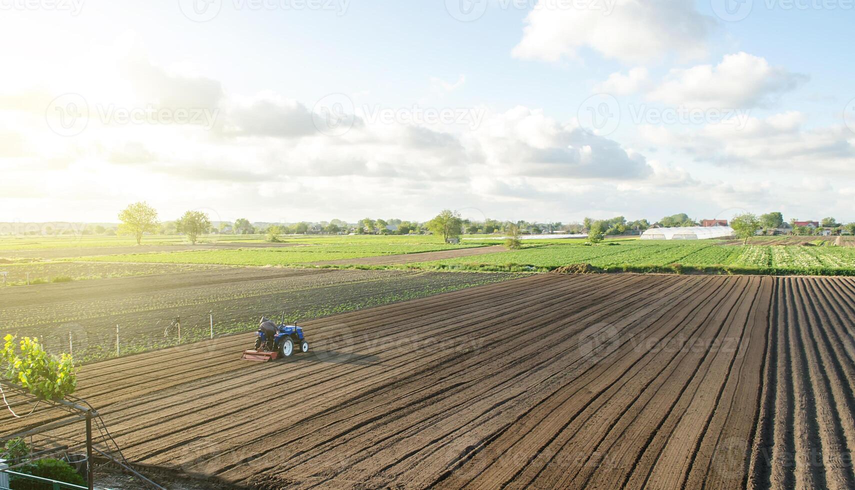 A tractor rides on a farm field. Farmer on a tractor with milling machine loosens, grinds and mixes soil. Loosening the surface, cultivating the land for further planting. Farming. photo