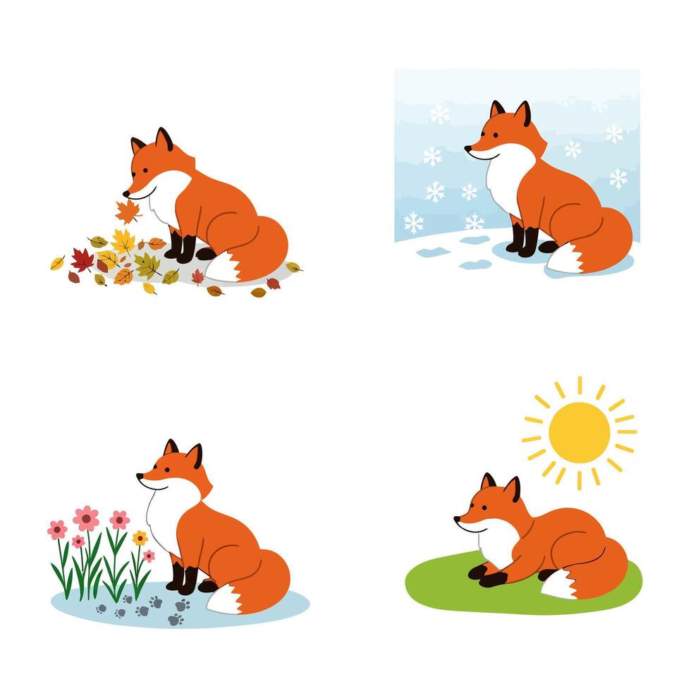 Fox Seasons Autumn with Winter, Spring, and Summer. vector