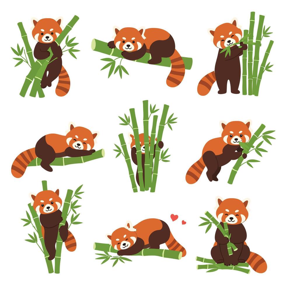 Cute Red Panda Bamboo Set Illustration. vector