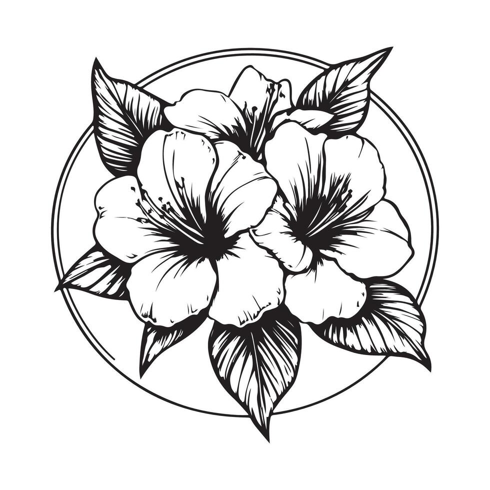 Azalea Flower Image. Flower Azalea Stock Illustrations vector