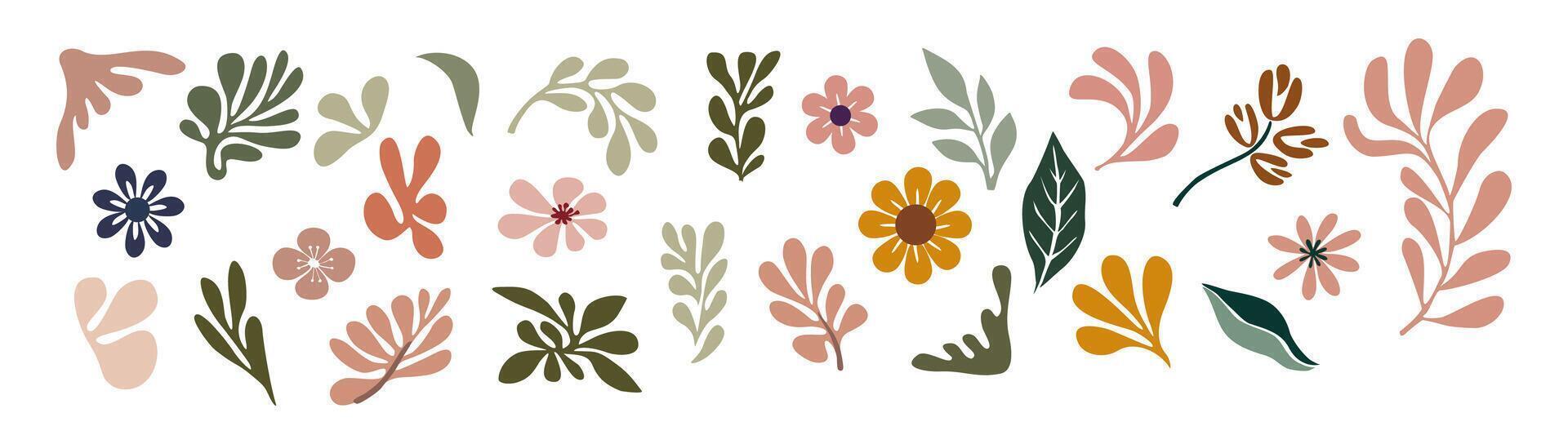 Set of hand drawn floral design elements, leaves vector