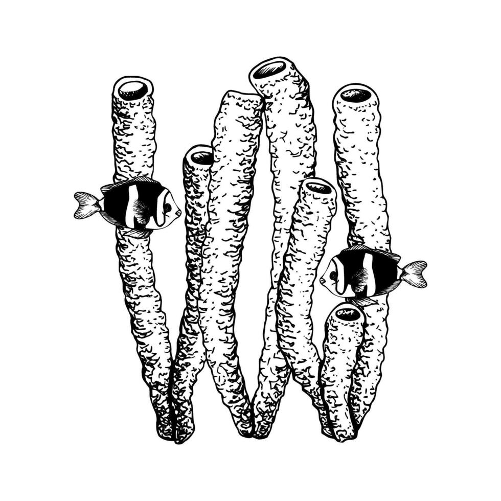 Underwater composition with coral reef corals tubes and exotic Clarks anemonefish. Hand drawn illustration isolated on white. Graphic sketch style for clip art cards labels vector