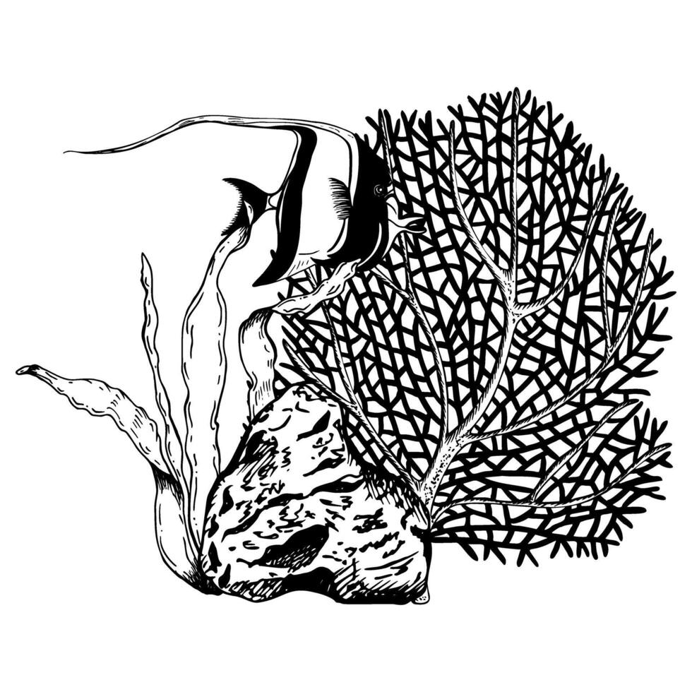 Coral reef underwater seabed composition with exotic fish. Hand drawn illustration. Graphic sketch style vector