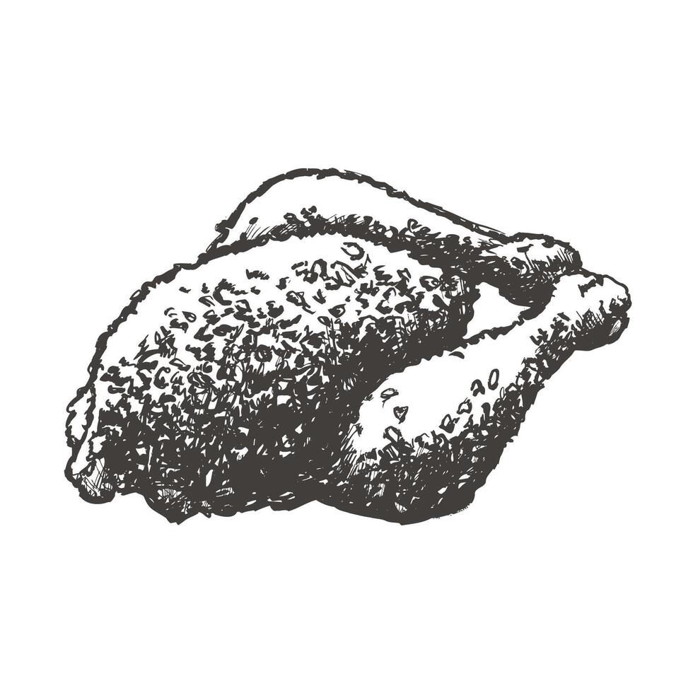 Detailed black and white sketch of a seasoned whole roasted chicken vector