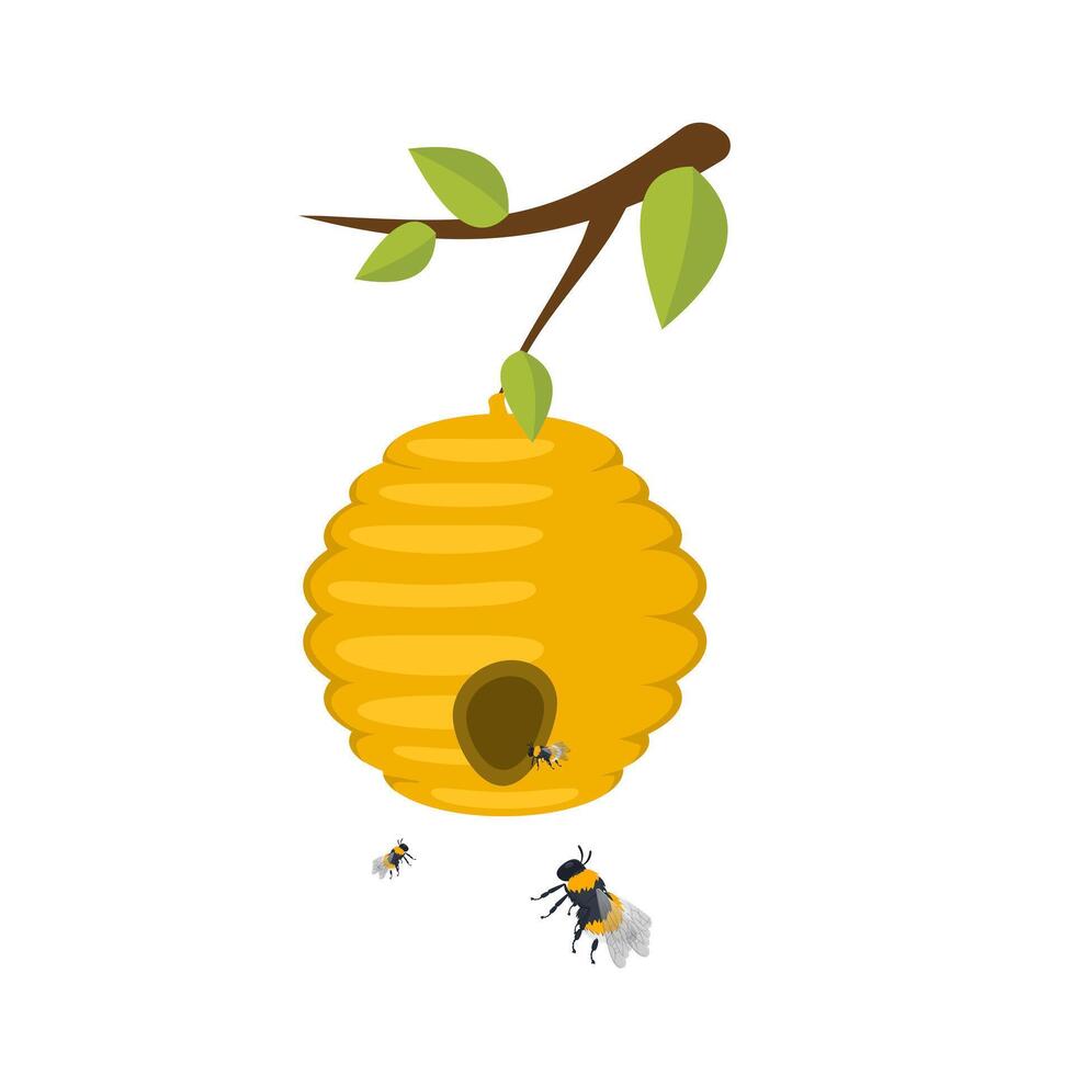 A beehive with bees. Beekeeping vector