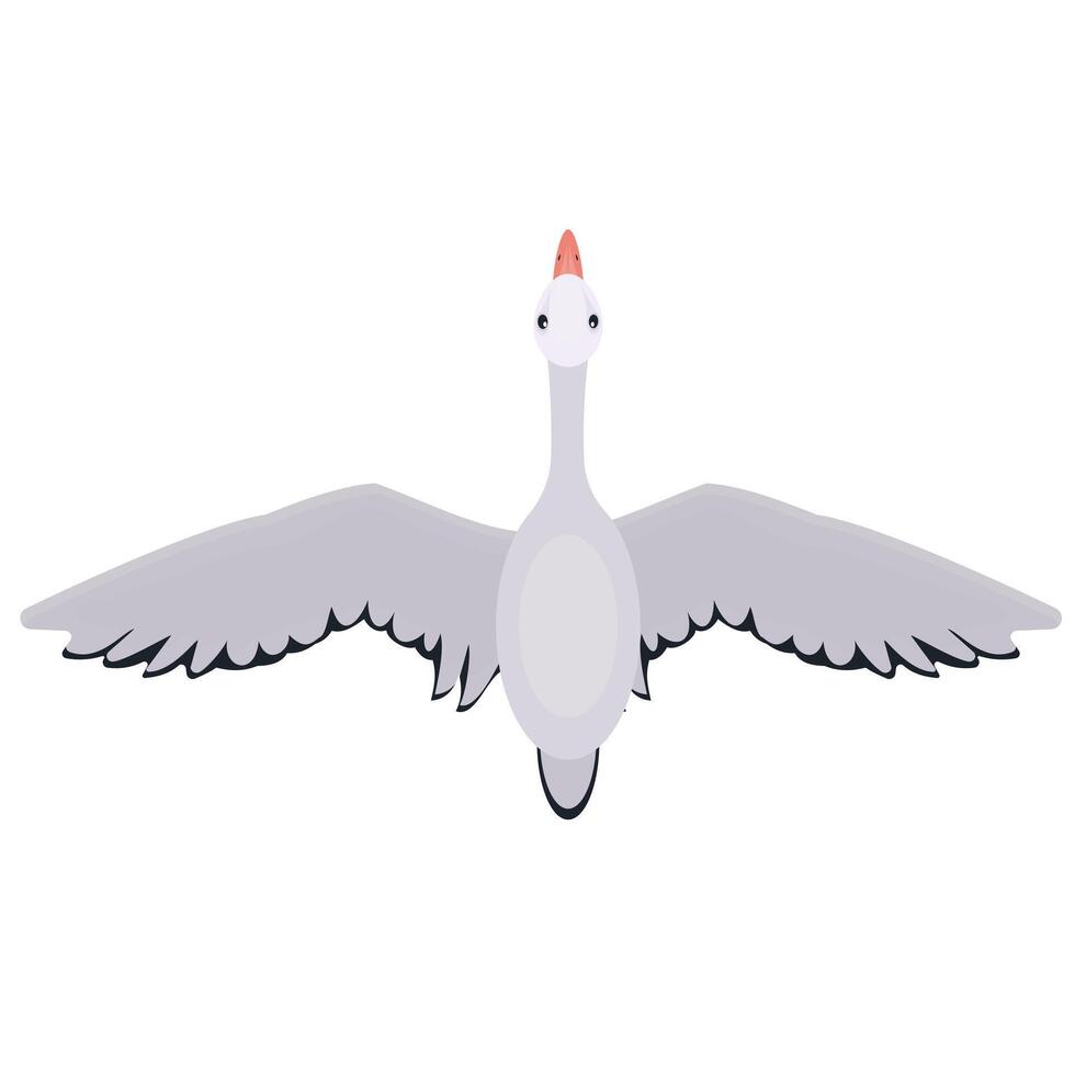 Swan. Bird in flight vector