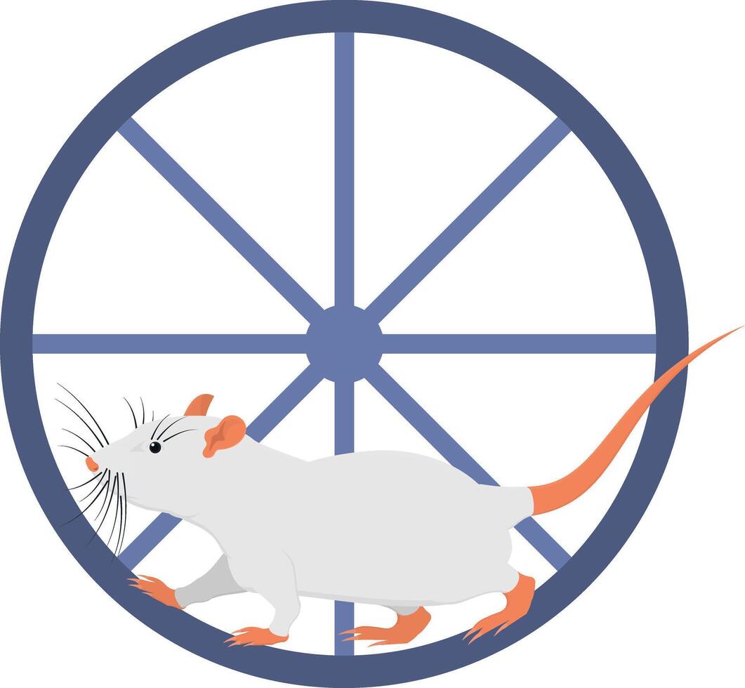 A hamster runs in a wheel. Pet animal vector