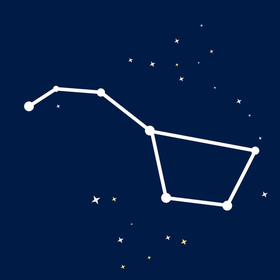 A starry constellation. Astronomy constellation Ursa major vector