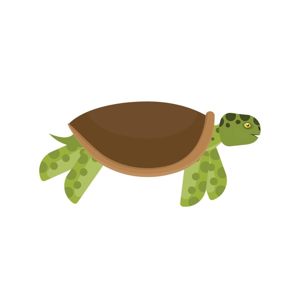 A sea turtle. Animal vector
