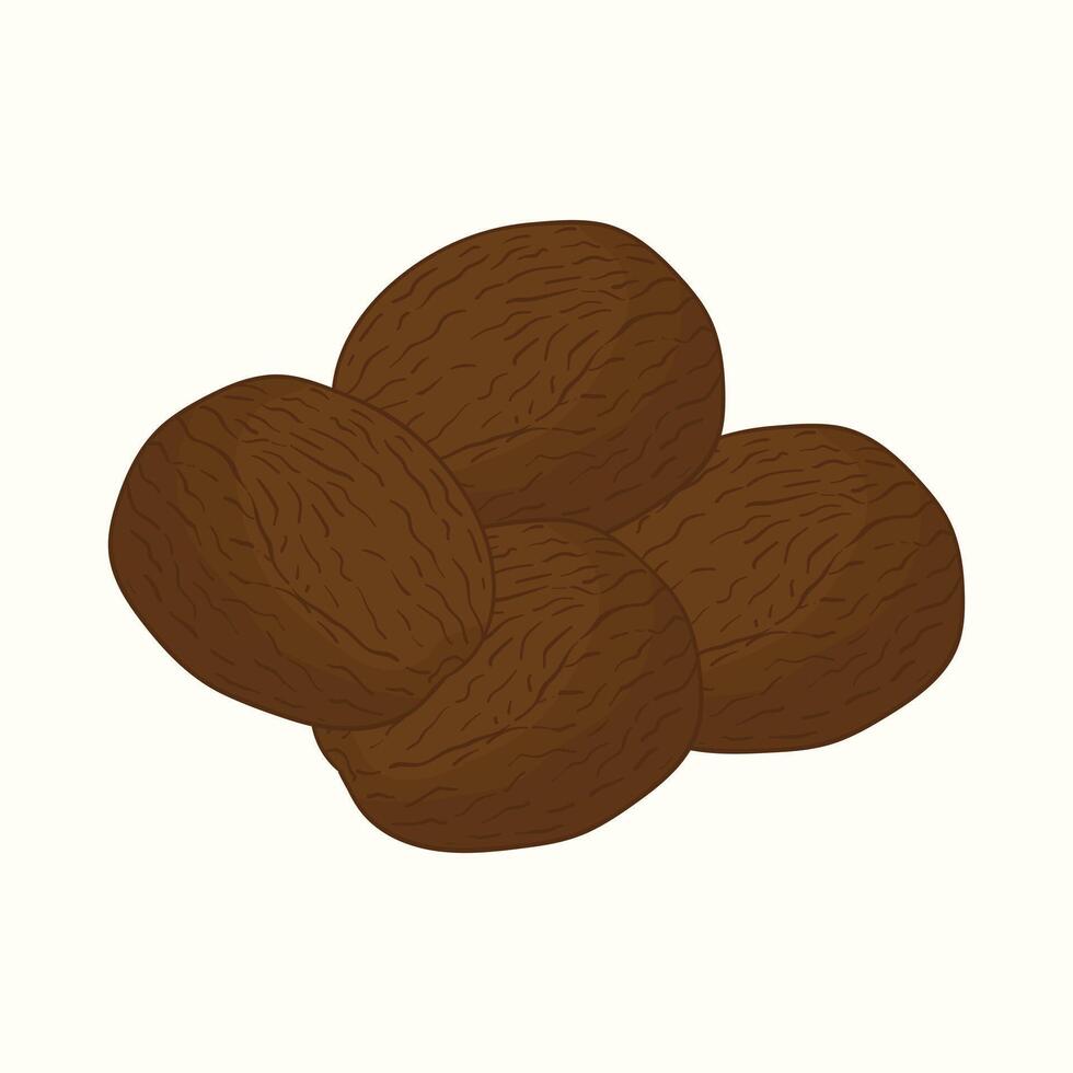 Nutmeg flat design cartoon icon illustration vector