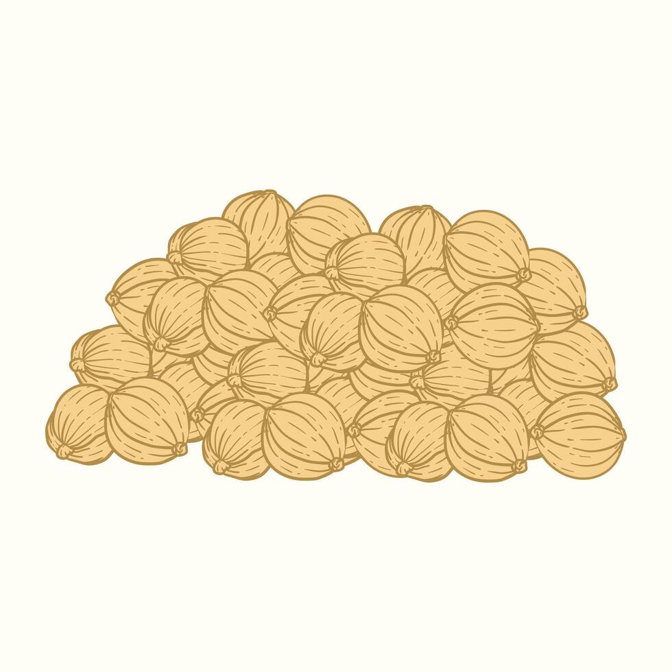 Coriander flat design cartoon icon illustration vector