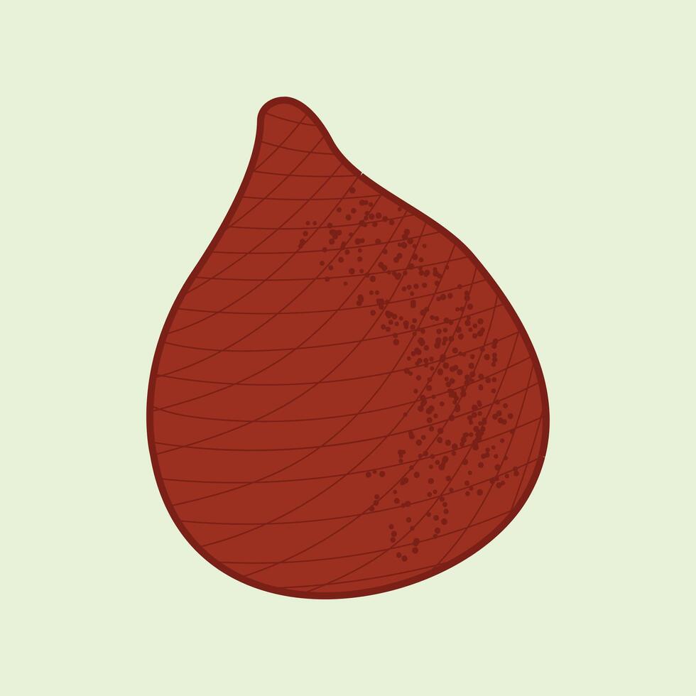 Salak Fruit Flat Design Cartoon Illustration vector