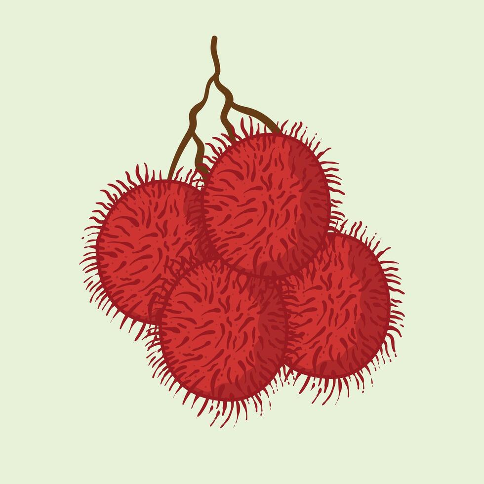 Rambutan Fruit Flat Design Cartoon Illustration vector