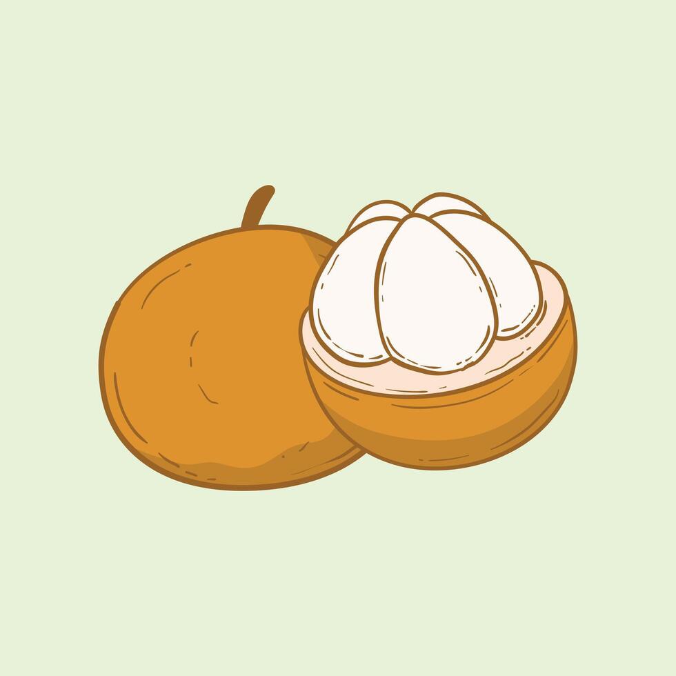 Kecapi Fruit Flat Design Cartoon Illustration vector