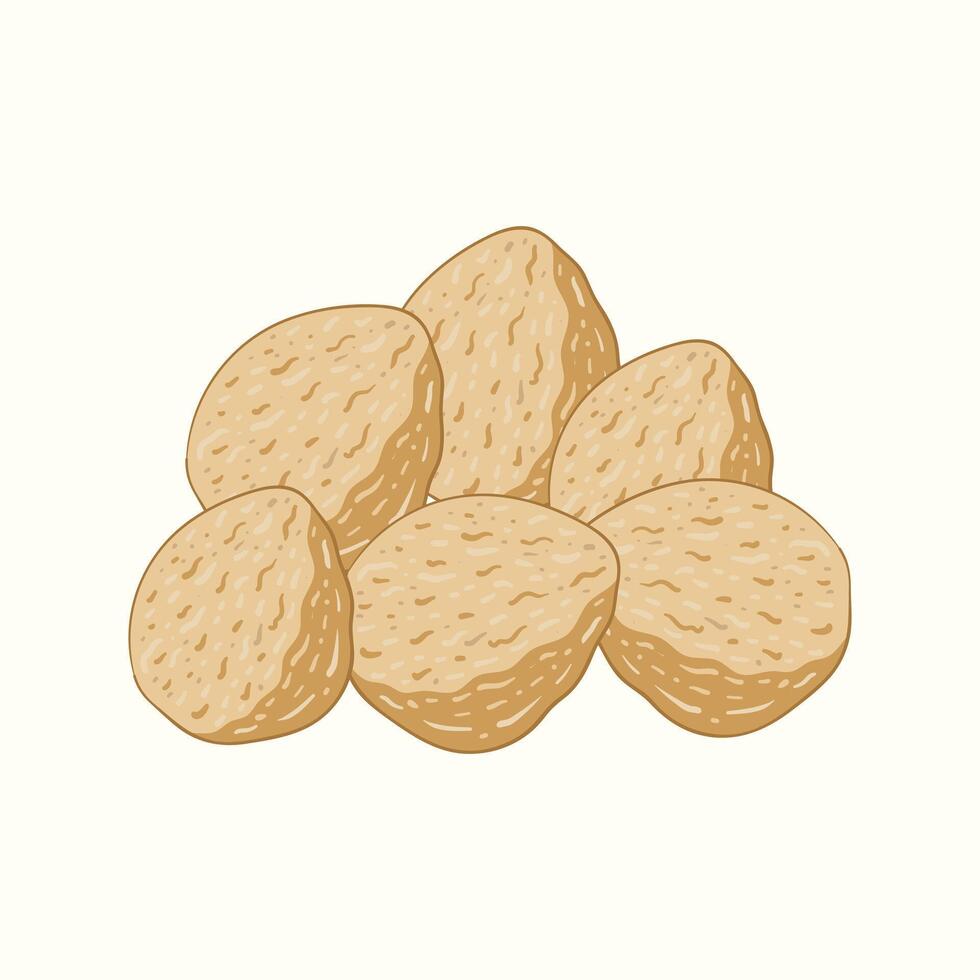 Candlenut flat design cartoon icon illustration vector