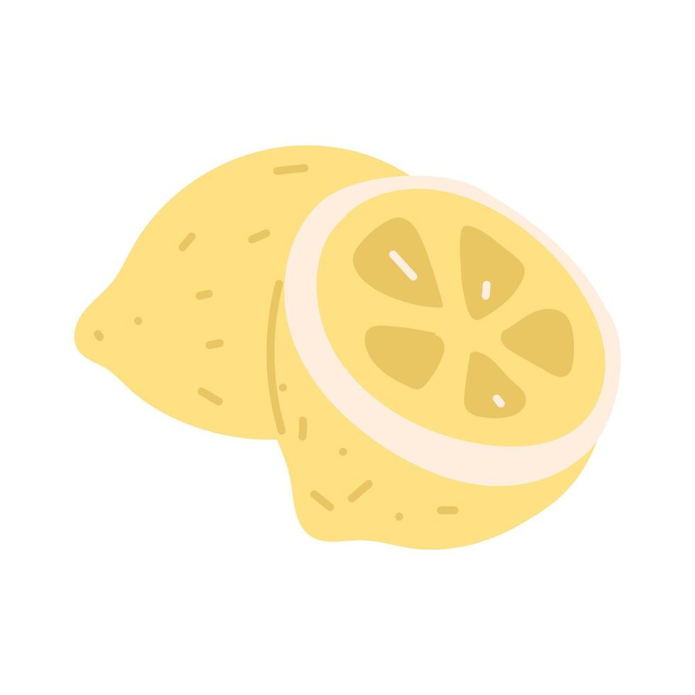 A group of fresh lemon fruits. One whole and half citrus is isolated on a white background. flat illustration with doodle lines. of yellow lemon fruits. A taste for tea drinking vector