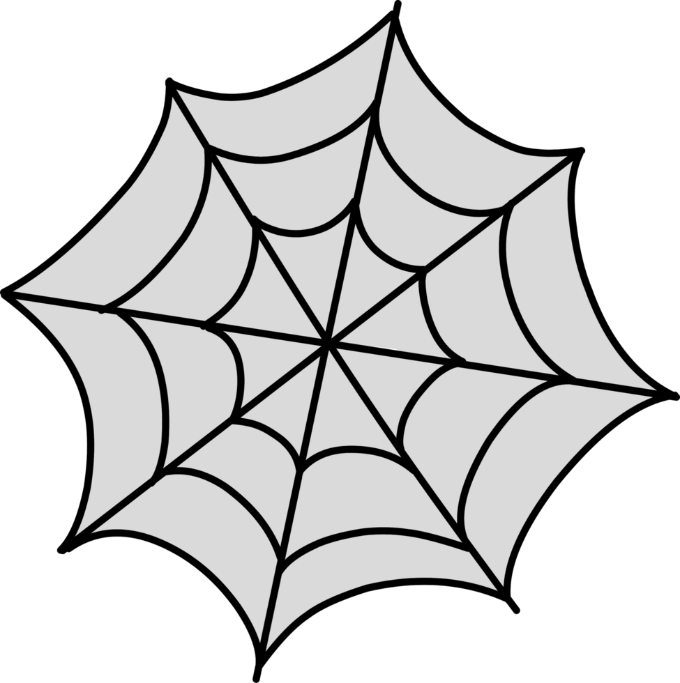 Spider web illustration png