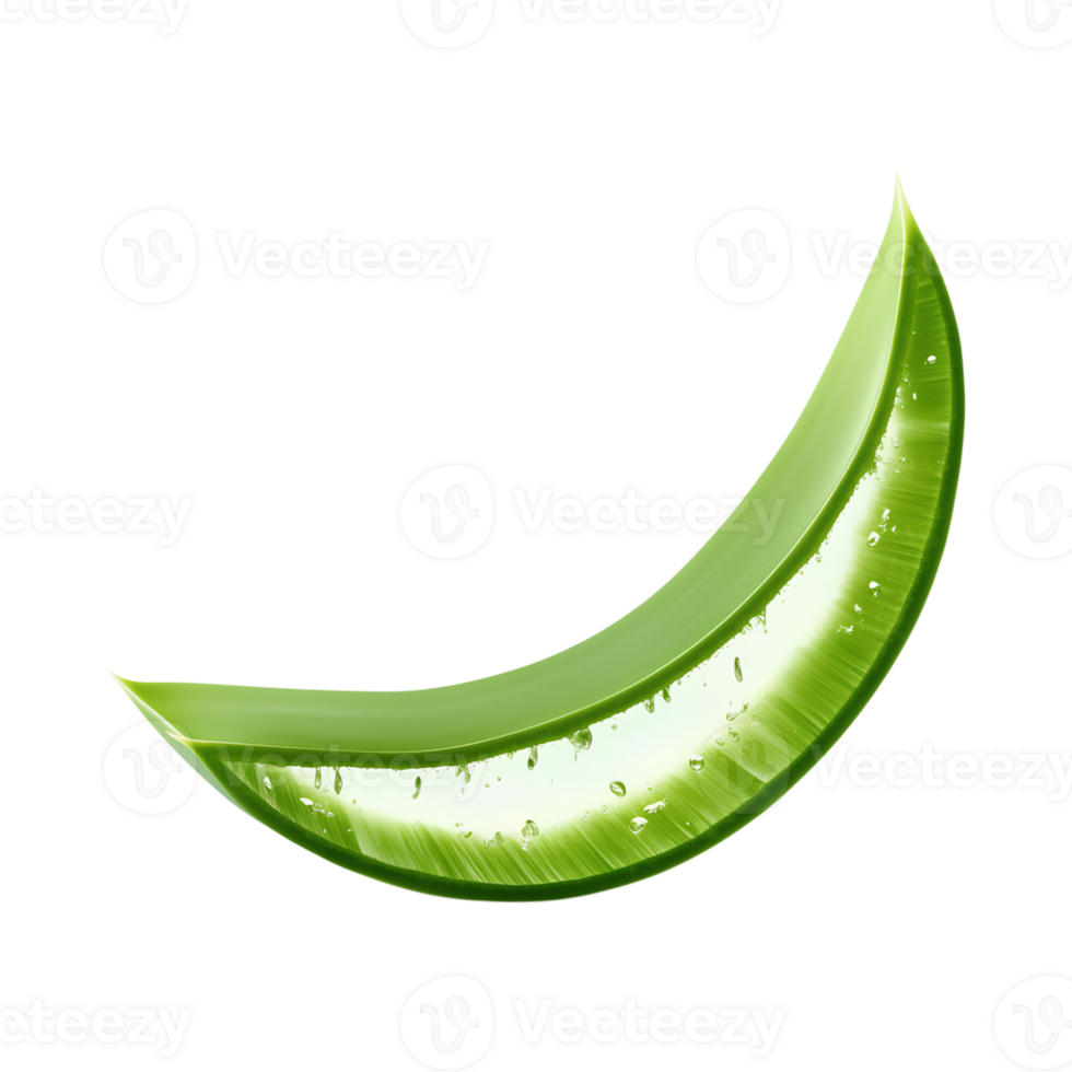 Aloe vera leaf with droplets, showcasing its natural beauty and healing properties png